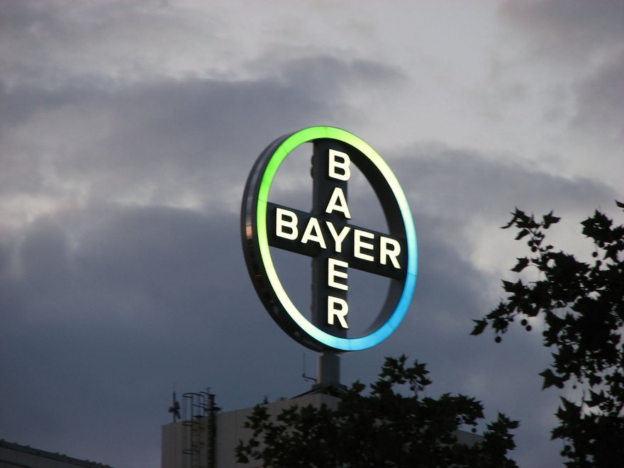 Bayer to Back 11 International Startups